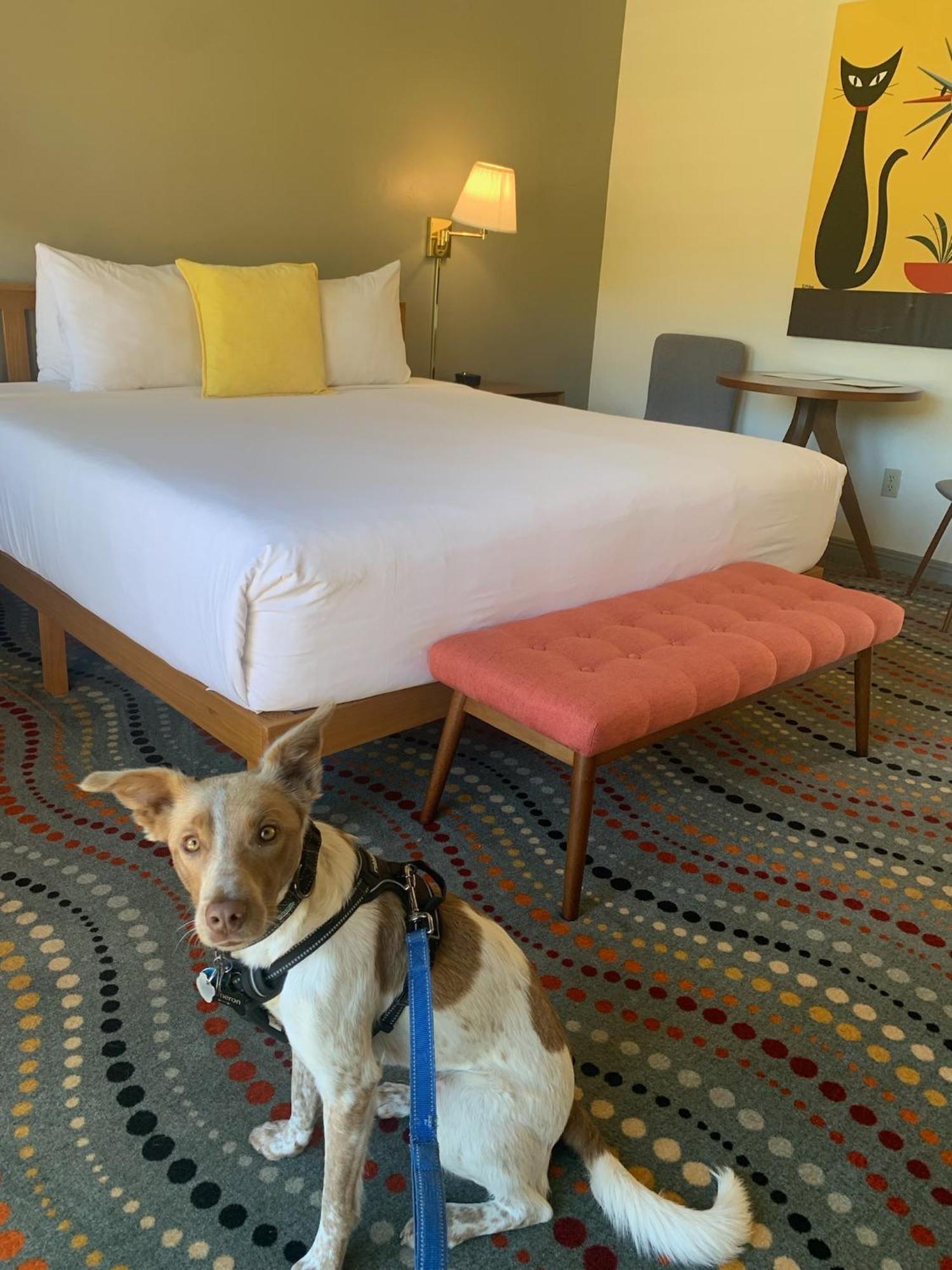 Hotel Contenta Carmel Valley